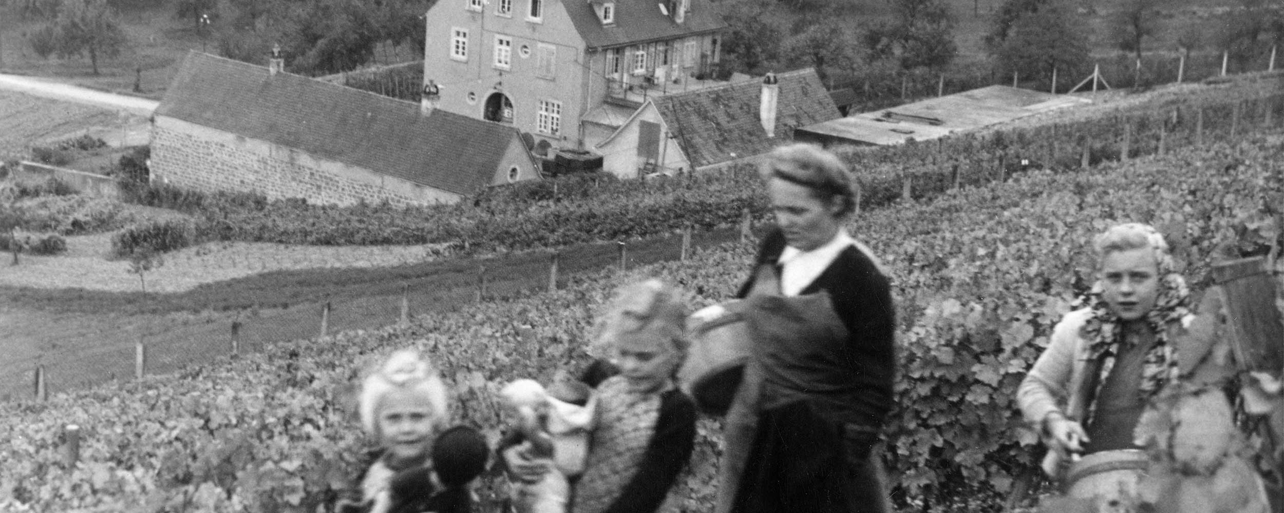 Die Geschichte des REBgut Lauda: vom Weinversuchsgut zur Kulturgastronomie